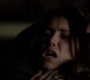 Filename=TVD_1838.jpg
Filesize=34KiB
Dimensions=1280x718
Date added=May 06, 2014 TVD_1838.jpg