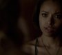 TVD_1433.jpg