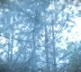 Filename=TVD_0916.jpg
Filesize=108KiB
Dimensions=1280x718
Date added=Aug 07, 2014 TVD_0916.jpg