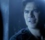 TVD_1366.jpg
