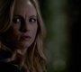 TVD_1432.jpg