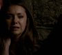 Filename=TVD_1825.jpg
Filesize=39KiB
Dimensions=1280x718
Date added=Aug 07, 2014 TVD_1825.jpg