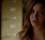 TVD_0350.jpg