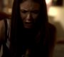 TVD_1557.jpg