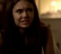 TVD_1562.jpg