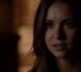 TVD_1577.jpg