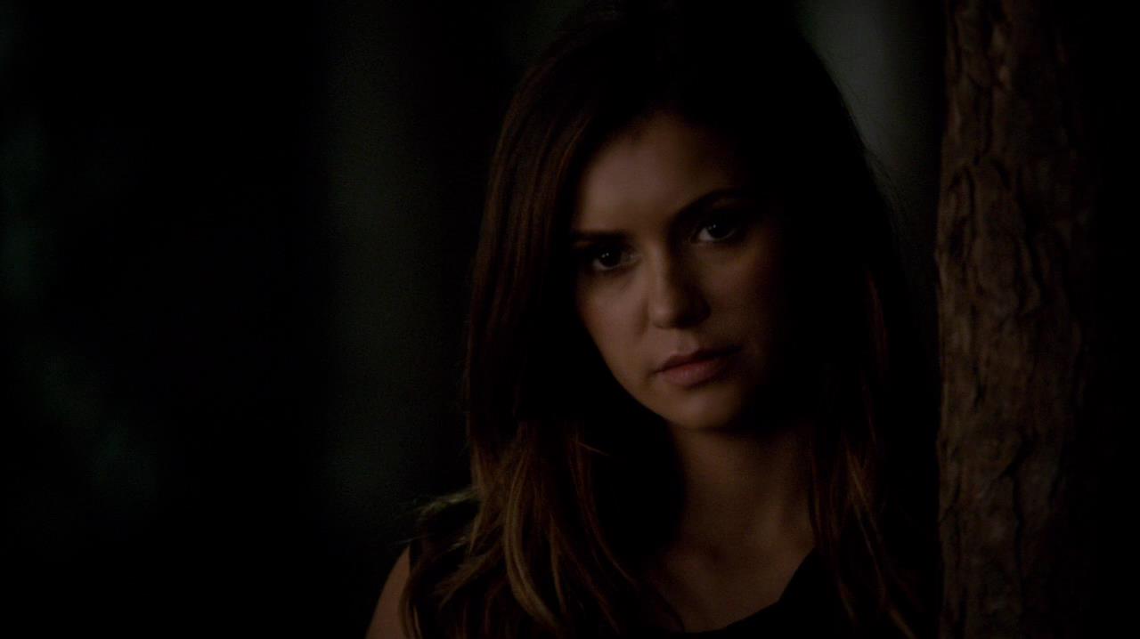 TVD_1511.jpg