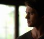 TVD_0232.jpg