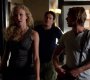 TVD_0247.jpg