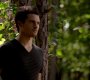 TVD_1132.jpg