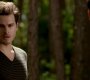 TVD_1161.jpg