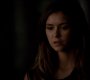 TVD_1510.jpg