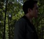 TVD_1182.jpg