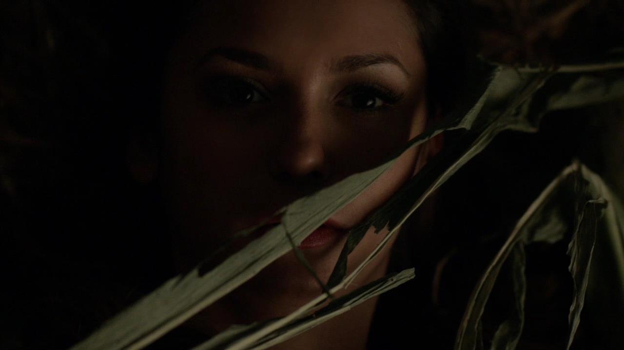 TVD_0950.jpg