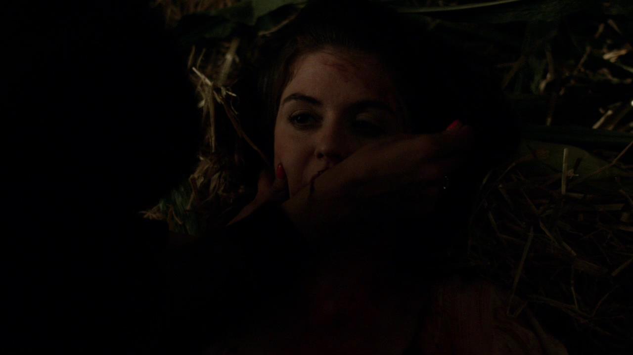 TVD_1003.jpg