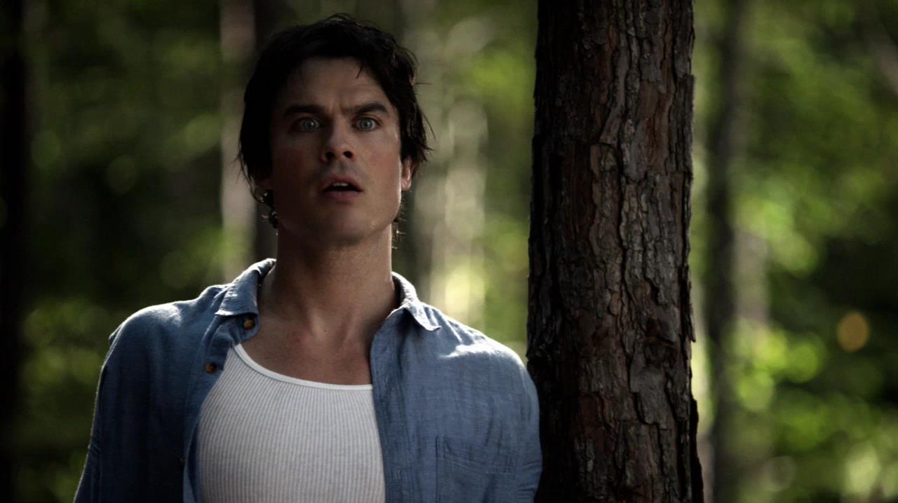TVD_1217.jpg