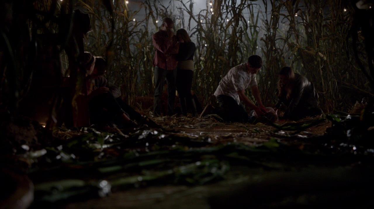 TVD_1506.jpg