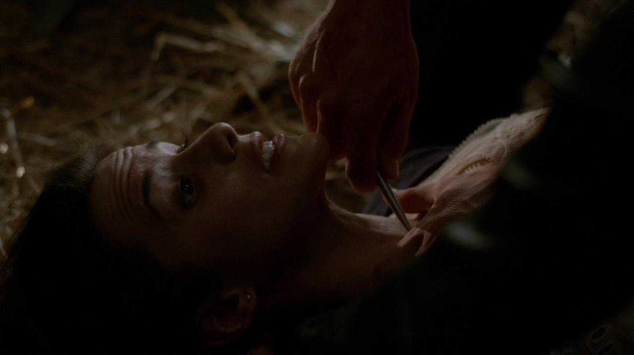 TVD_1529.jpg