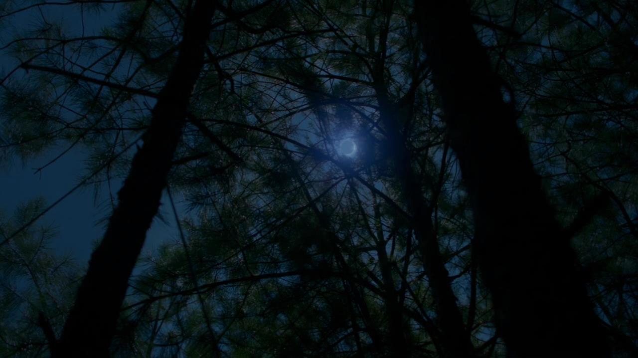 TVD_1569.jpg