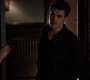 TVD_0103.jpg
