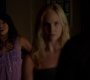 TVD_0156.jpg