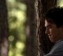 TVD_0437.jpg