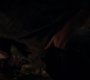 Filename=TVD_1047.jpg
Filesize=32KiB
Dimensions=1280x718
Date added=Nov 03, 2014 TVD_1047.jpg