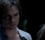 TVD_1380.jpg