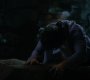 TVD_1595.jpg