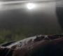 TVD_1336.jpg