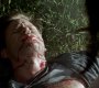 TVD_1379.jpg