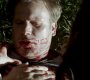 TVD_1468.jpg