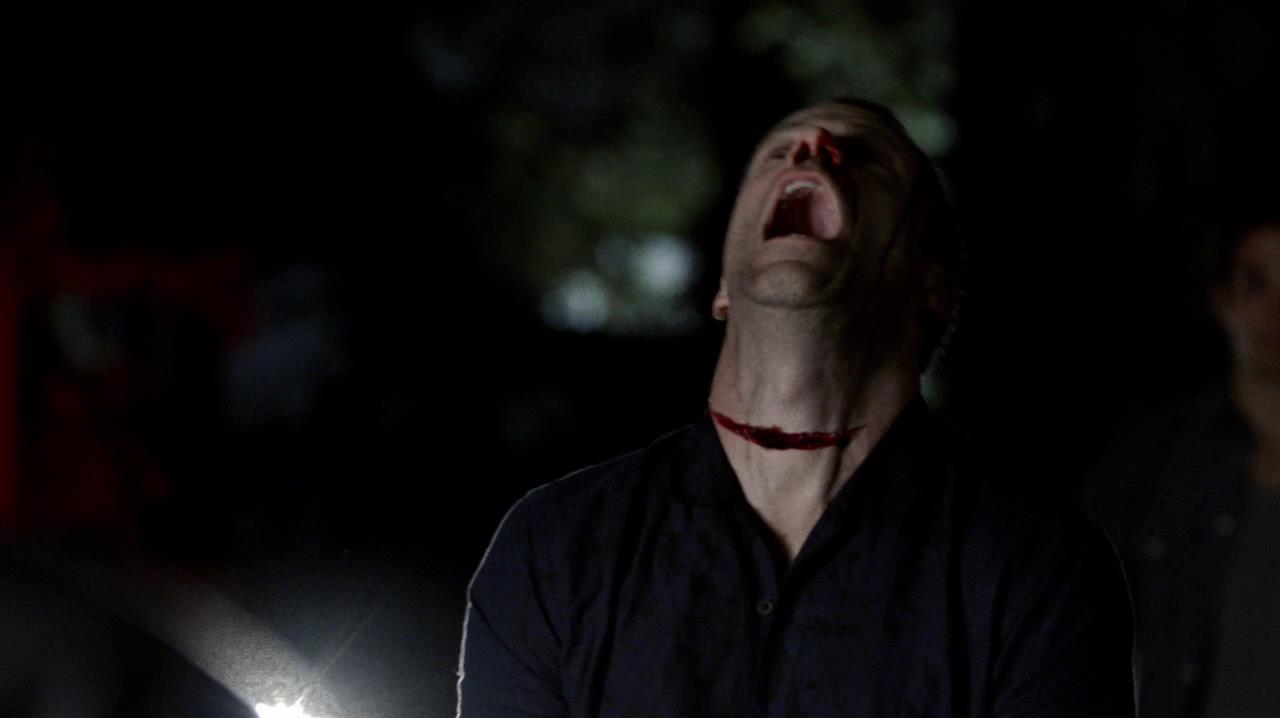 TVD_1280.jpg