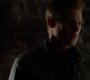 TVD_0268.jpg