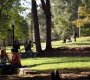 TVD_0321.jpg