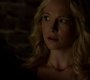 TVD_0880.jpg