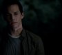TVD_1201.jpg