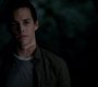 TVD_1203.jpg
