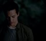 TVD_1204.jpg