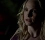 TVD_1263.jpg