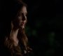 TVD_1437.jpg