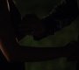 TVD_1500.jpg