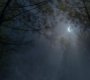 Filename=TVD_1400.jpg
Filesize=49KiB
Dimensions=1280x718
Date added=Dec 01, 2014 TVD_1400.jpg