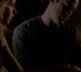 TVD_1608.jpg