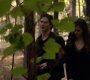 TVD_0287.jpg