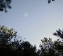 TVD_0336.jpg