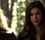 TVD_0340.jpg