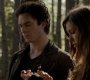 TVD_0347.jpg