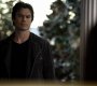 TVD_1113.jpg