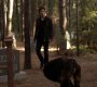 TVD_1221.jpg
